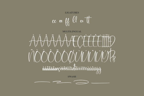 Wellymonte Font Poster 14