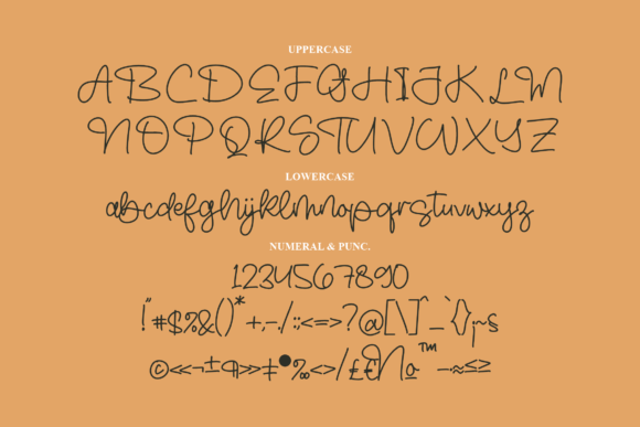 Wellytare Font Poster 13