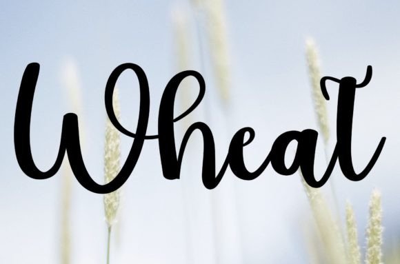 Wheat Font