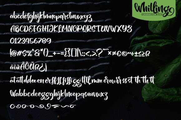Whilling Font Poster 5