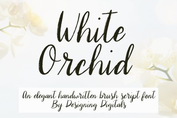 White Orchid Font Poster 1