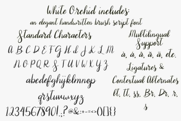 White Orchid Font Poster 4