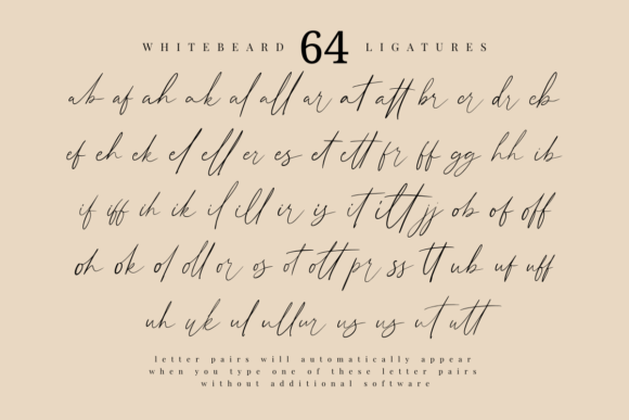 Whitebeard Font Poster 8