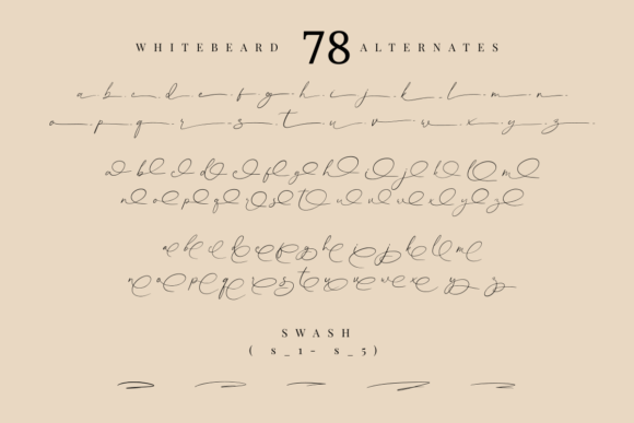 Whitebeard Font Poster 9