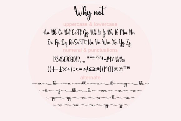 Why Not Font Poster 5