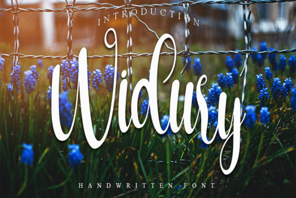 Widury Font Poster 1