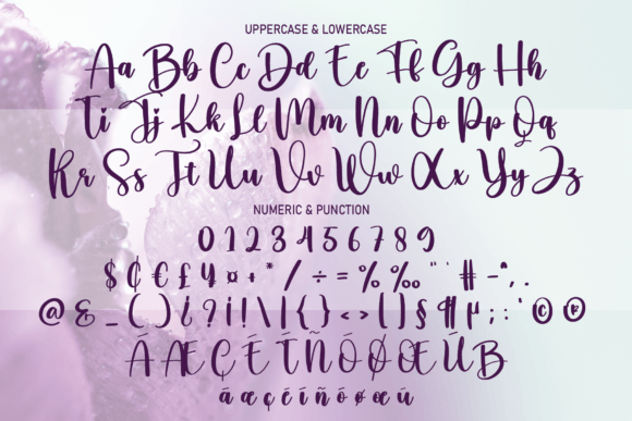 Wildflower Font Poster 7