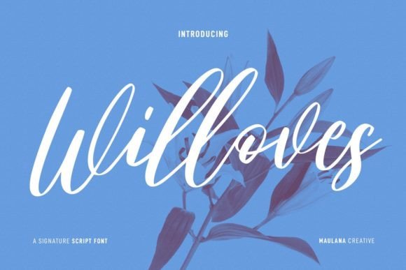 Willoves Font Poster 1