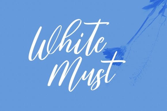 Willoves Font Poster 7