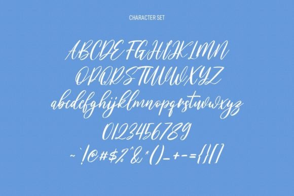 Willoves Font Poster 8