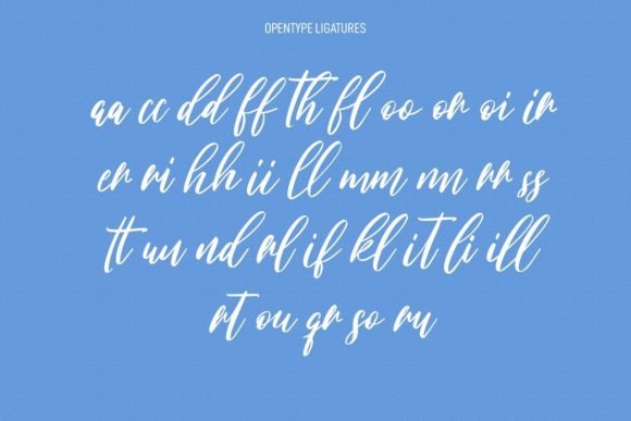 Willoves Font Poster 9