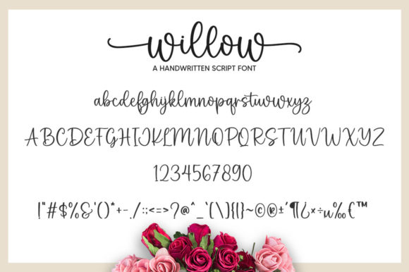 Willow Font Poster 5