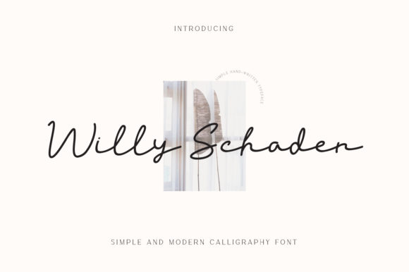 Willy Schaden Font