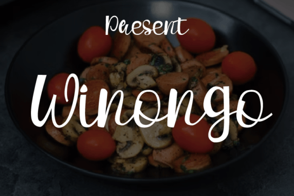 Winongo Font
