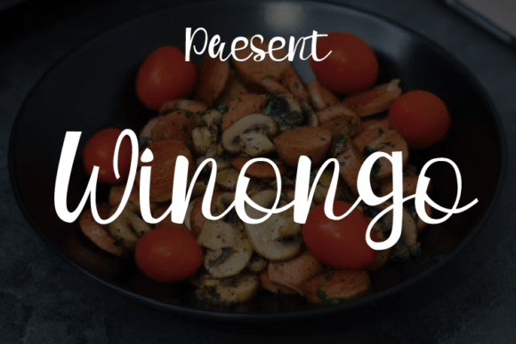 Winongo Font Winongo Font Poster 1