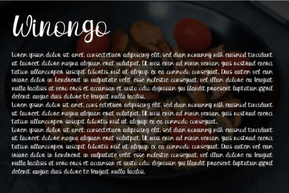 Winongo Font Poster 3