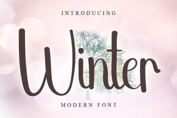 Winter Font Poster 1