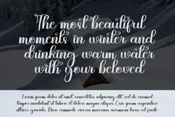 Winter Font Poster 8