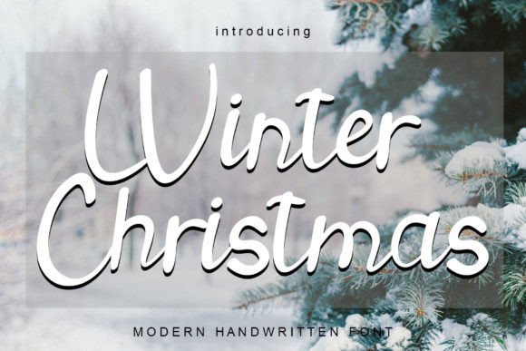 Winter Christmas Font Poster 1