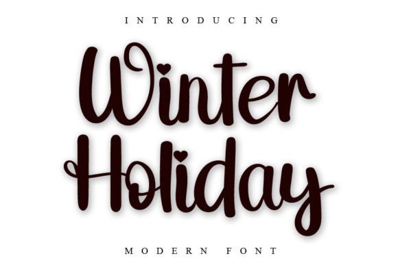 Winter Holiday Font Poster 1