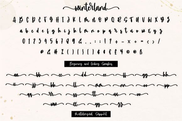 Winterland Font Poster 10