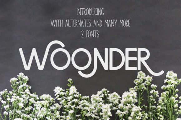 Wonder [2 Fonts] Font Poster 1