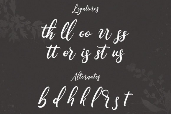 Wonder Villa Font Poster 10