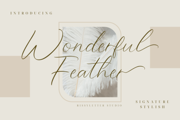 Wonderful Feather Font Poster 1