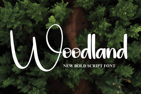 Woodland Font Poster 1
