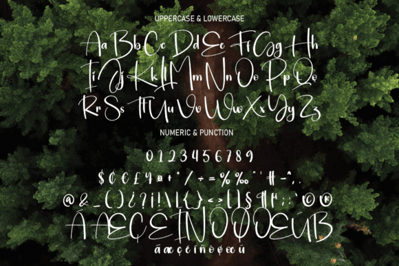 Woodland Font Poster 7