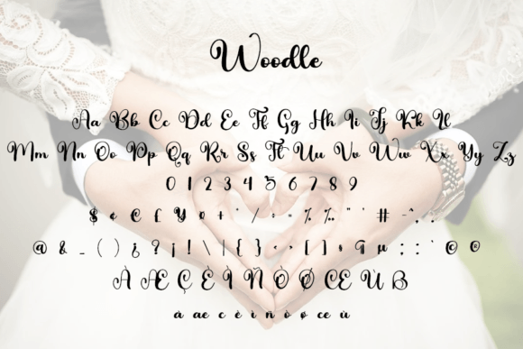 Woodle Font Poster 8