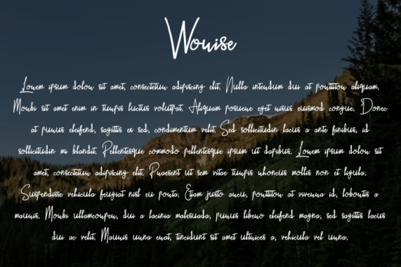 Worise Font Poster 4