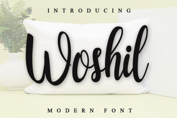 Woshil Font Poster 1