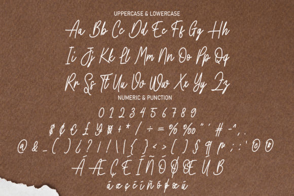 Writting Vintage Font Poster 7