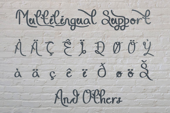 Xaapar Ganjil Font Poster 7