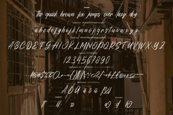 Yollanda Font Poster 6