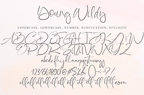 Young Wildy Font Poster 10