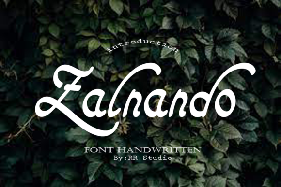 Zalnando Font Poster 1