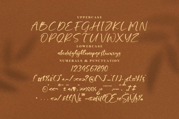 Zenittash Font Poster 13