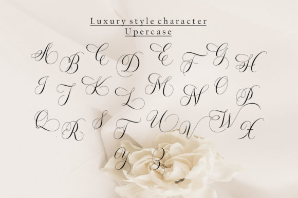 Zimbara Font Poster 6
