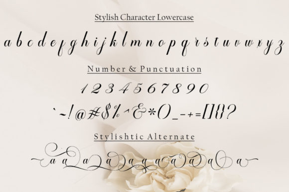 Zimbara Font Poster 7