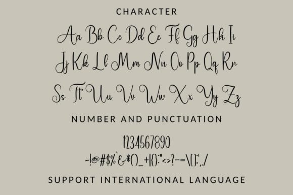 Ziona Font Poster 3