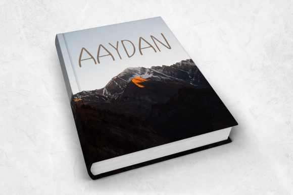Aaydan Font Poster 5
