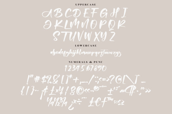 Abigaila Font Poster 13