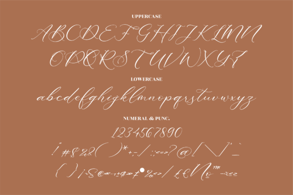Abigaila Delinta Font Poster 13