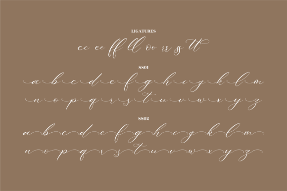 Abigaila Delinta Font Poster 14