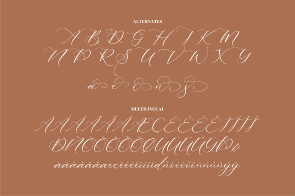 Abigaila Delinta Font Poster 15