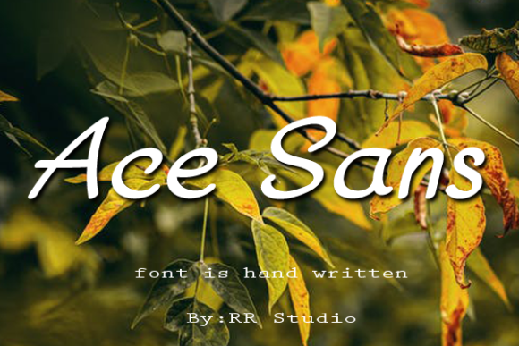 Ace Sans Font Poster 1