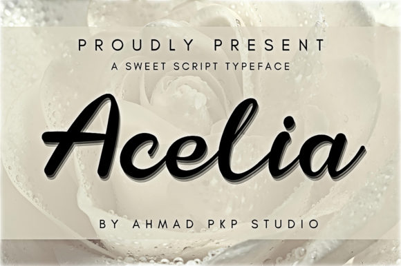 Acelia Font Poster 1