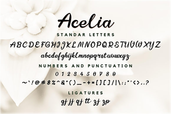 Acelia Font Poster 9